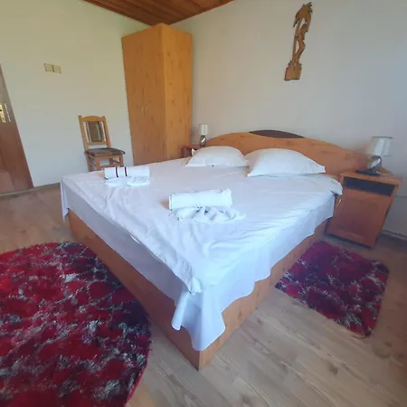 Penzion Casa Flavius Bran (Brasov)