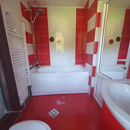 Guest house Casa Flavius *