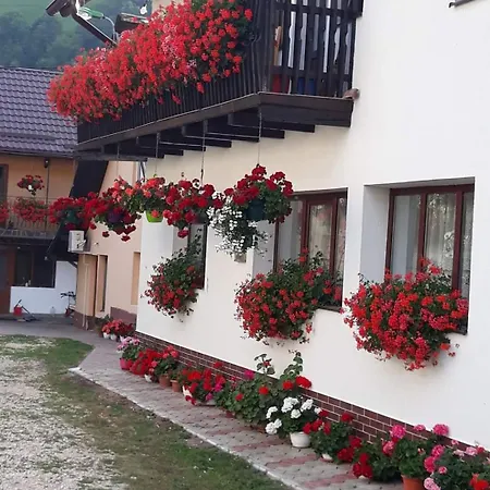 Casa Flavius Guest house Bran (Brasov)