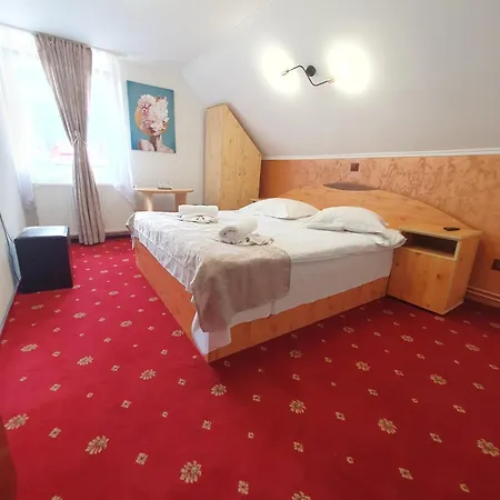 Casa Flavius Bran (Brasov)