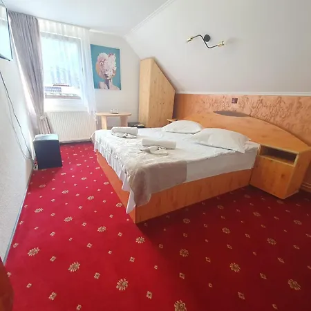 Casa Flavius Bran (Brasov)