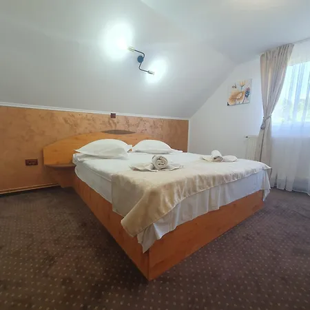 Guest house Casa Flavius Bran (Brasov)