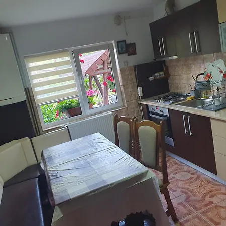Guest house Casa Flavius Bran (Brasov)