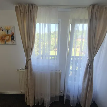 Guest house Casa Flavius *