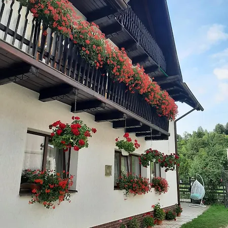 Guest house Casa Flavius
