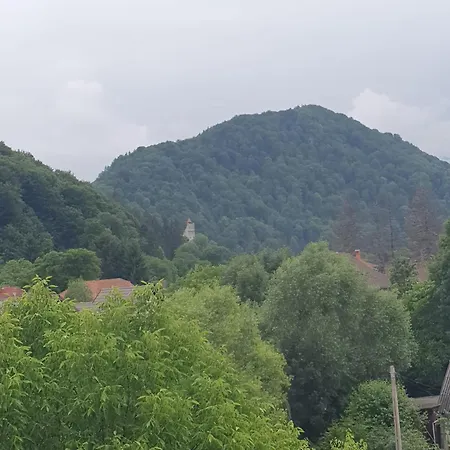 Casa Flavius Bran (Brasov)