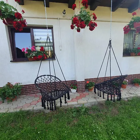 Guest house Casa Flavius