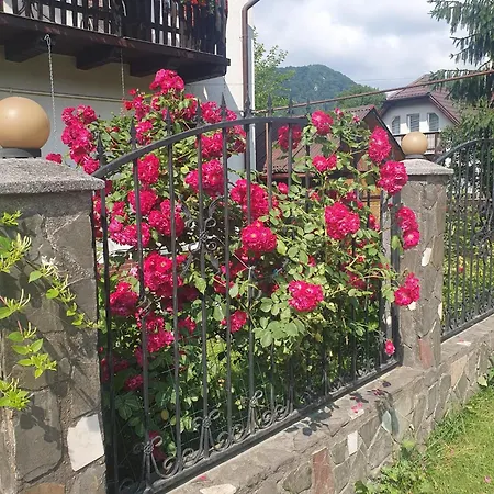 Guest house Casa Flavius Bran (Brasov)